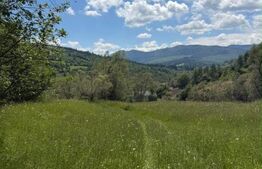 Teren extravilan 5049 mp, Vama, Bucovina 