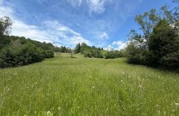 Teren extravilan 5049 mp, Vama, Bucovina 