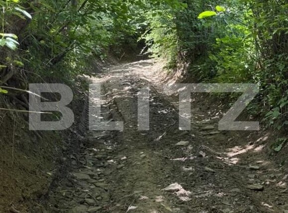 Teren de vânzare Exterior Vest - 201276TV | BLITZ Suceava | Poza6