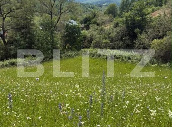 Teren de vânzare Exterior Vest - 201276TV | BLITZ Suceava | Poza1