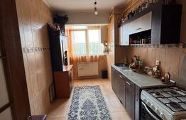 Microapartament de vanzare, 37 mp, zona George Enescu