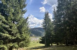 Teren extravilan, 3500 mp Vatra Dornei, Str. Roșu