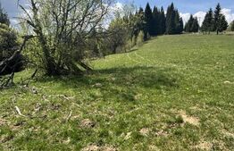 Teren 3200 mp, intravilan+extravilan, Vatra Dornei, str. Roșu