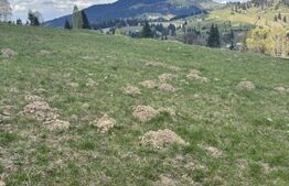 Teren 3200 mp, intravilan+extravilan, Vatra Dornei, str. Roșu