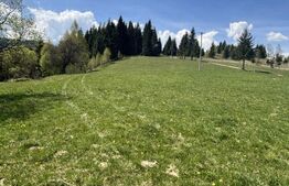 Teren de vânzare Vatra Dornei, Suceava