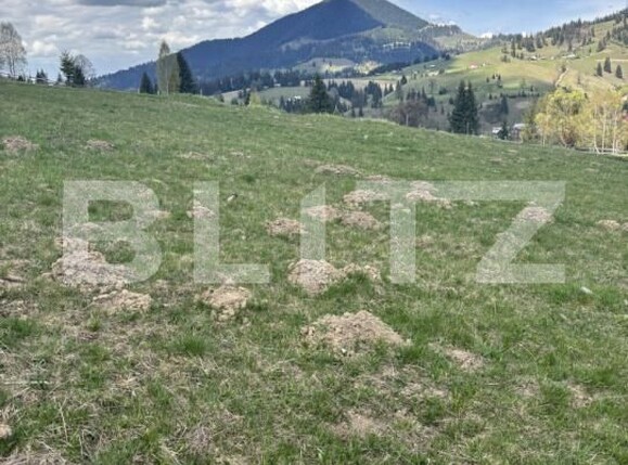 Teren de vânzare Vatra Dornei - 201508TV | BLITZ Suceava | Poza3