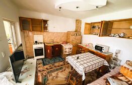 Casa de vanzare, 2900mp teren, Dolhestii Mari