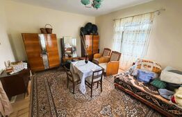 Casa de vanzare, 2900mp teren, Dolhestii Mari