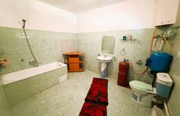 Casa de vanzare, 2900mp teren, Dolhestii Mari