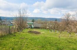 Casa de vanzare, 2900mp teren, Dolhestii Mari