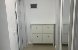 Apartament 2 Camere , Etaj 2, Zonă Ipotesti
