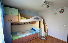 Casa individuala cu etaj, 10 ari teren, 207 mp utili, Plopeni, Salcea