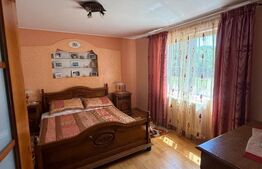 Casa individuala cu etaj, 10 ari teren, 207 mp utili, Plopeni, Salcea