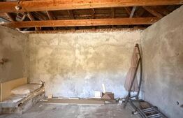 Casa individuala cu etaj, 10 ari teren, 207 mp utili, Plopeni, Salcea