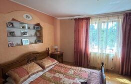 Casa individuala cu etaj, 10 ari teren, 207 mp utili, Plopeni, Salcea