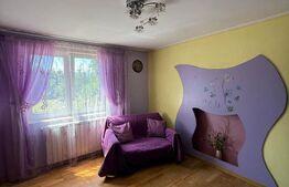 Casa individuala cu etaj, 10 ari teren, 207 mp utili, Plopeni, Salcea
