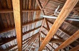 Casa individuala cu etaj, 10 ari teren, 207 mp utili, Plopeni, Salcea