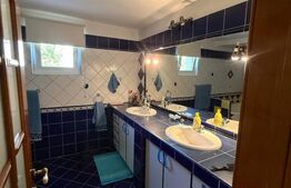 Casa individuala cu etaj, 10 ari teren, 207 mp utili, Plopeni, Salcea