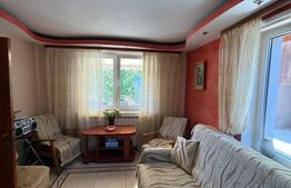 Casa individuala cu etaj, 10 ari teren, 207 mp utili, Plopeni, Salcea