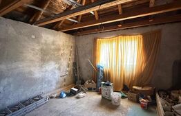 Casa individuala cu etaj, 10 ari teren, 207 mp utili, Plopeni, Salcea