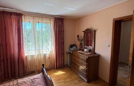 Casa individuala cu etaj, 10 ari teren, 207 mp utili, Plopeni, Salcea