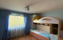 Casa individuala cu etaj, 10 ari teren, 207 mp utili, Plopeni, Salcea
