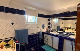 Casa individuala cu etaj, 10 ari teren, 207 mp utili, Plopeni, Salcea