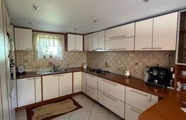 Casa individuala cu etaj, 10 ari teren, 207 mp utili, Plopeni, Salcea