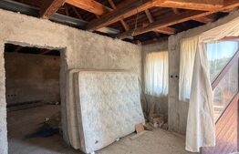 Casa individuala cu etaj, 10 ari teren, 207 mp utili, Plopeni, Salcea