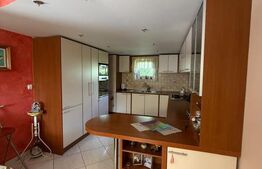 Casa individuala cu etaj, 10 ari teren, 207 mp utili, Plopeni, Salcea
