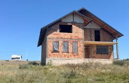 Casa cu etaj la rosu, 200 mp, 1000 mp teren, zona Scheia