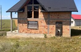 Casa cu etaj la rosu, 200 mp, 1000 mp teren, zona Scheia