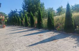 Casă spațioasă de vânzare, 140 mp utili, teren 11 ari, Hantesti
