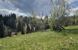 Teren intravilan, 1800 mp, str. Roșu, Vatra Dornei