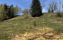 Teren intravilan, 1800 mp, str. Roșu, Vatra Dornei