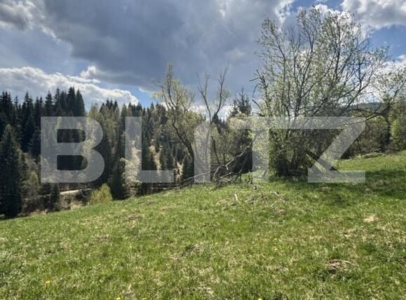 Teren de vânzare Vatra Dornei - 201987TV | BLITZ Suceava | Poza2