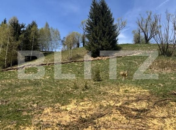Teren de vânzare Vatra Dornei - 201987TV | BLITZ Suceava | Poza1