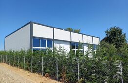 Hală depozitare/productie, 200 mp, Salcea