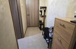 Apartament cu 2 camere, 50 mp,  etaj intermediar, renovat, zona George Enescu