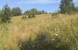 Teren extravilan, 7649 mp, zona Câmpulung Moldovenesc