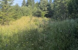 Teren extravilan, 7649 mp, zona Câmpulung Moldovenesc