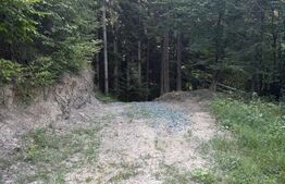 Teren extravilan, 7649 mp, zona Câmpulung Moldovenesc