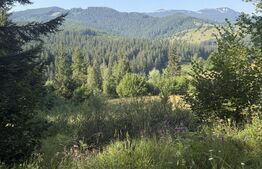 Teren extravilan, 7649 mp, zona Câmpulung Moldovenesc