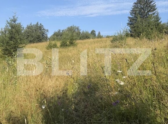 Teren de vânzare Campulung Moldovenesc - 202099TV | BLITZ Suceava | Poza2