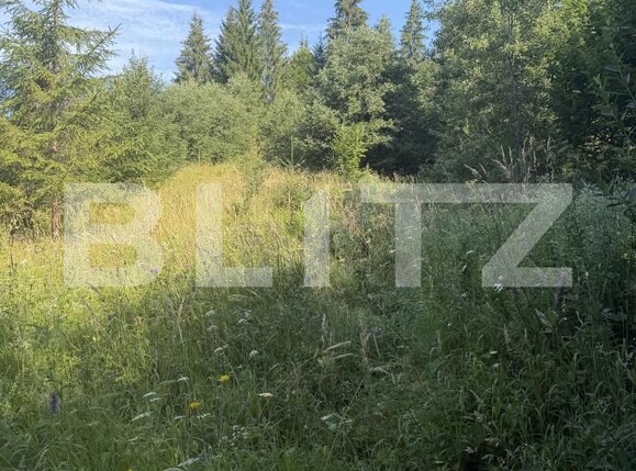 Teren de vânzare Campulung Moldovenesc - 202099TV | BLITZ Suceava | Poza3
