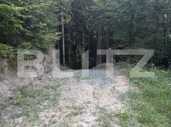 Teren de vânzare Campulung Moldovenesc - 202099TV | BLITZ Suceava | Poza4