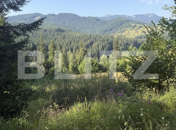 Teren de vânzare Campulung Moldovenesc - 202099TV | BLITZ Suceava | Poza1
