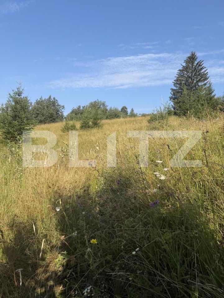 Teren de vânzare Campulung Moldovenesc - 202099TV | BLITZ Suceava | Poza2