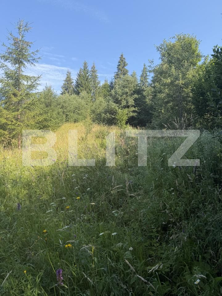 Teren de vânzare Campulung Moldovenesc - 202099TV | BLITZ Suceava | Poza3