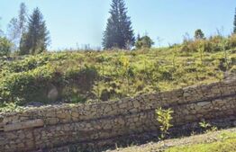 Teren intravilan, 5.000 mp, zona Câmpulung Moldovenesc